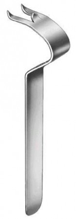 Text